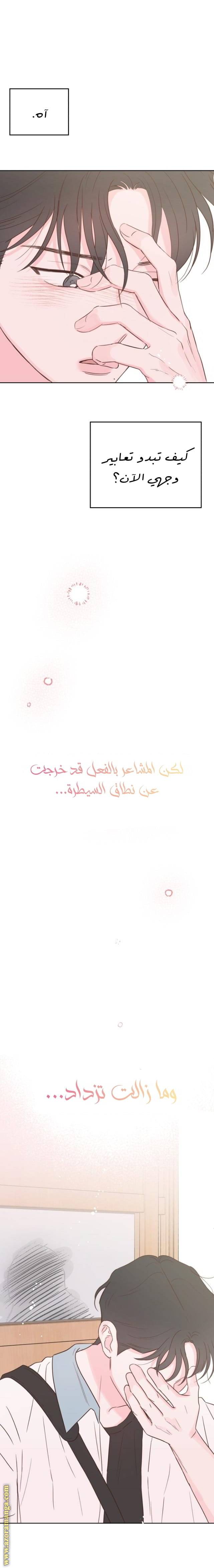 الصفحة 21