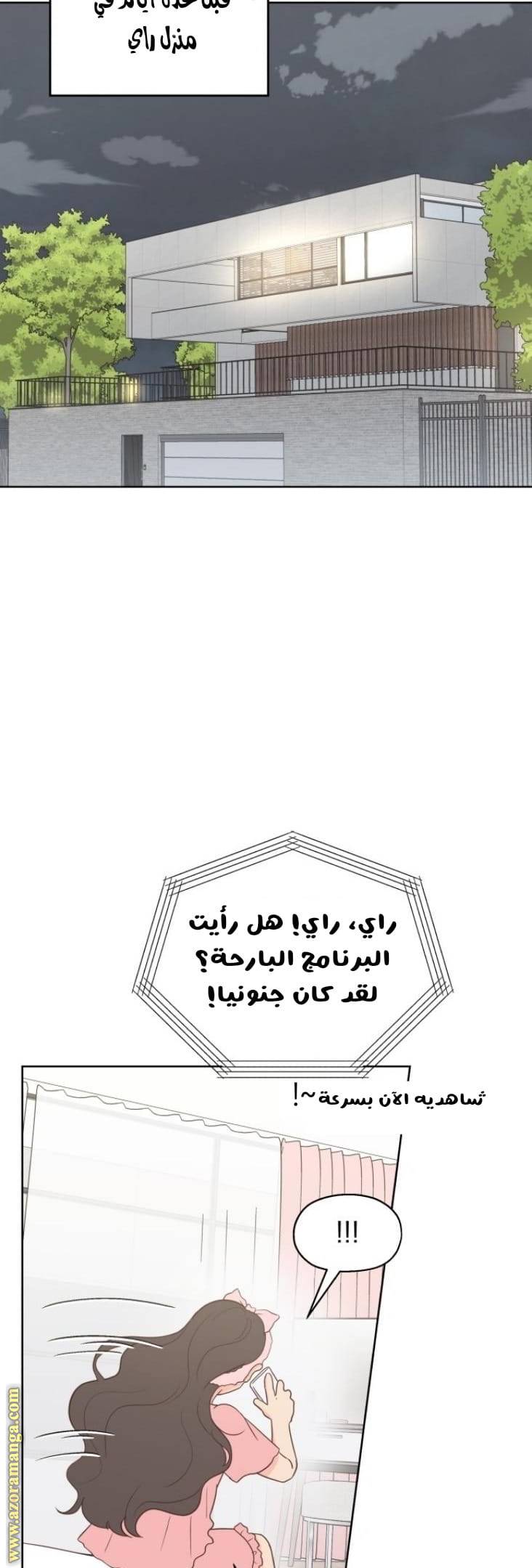 الصفحة 13