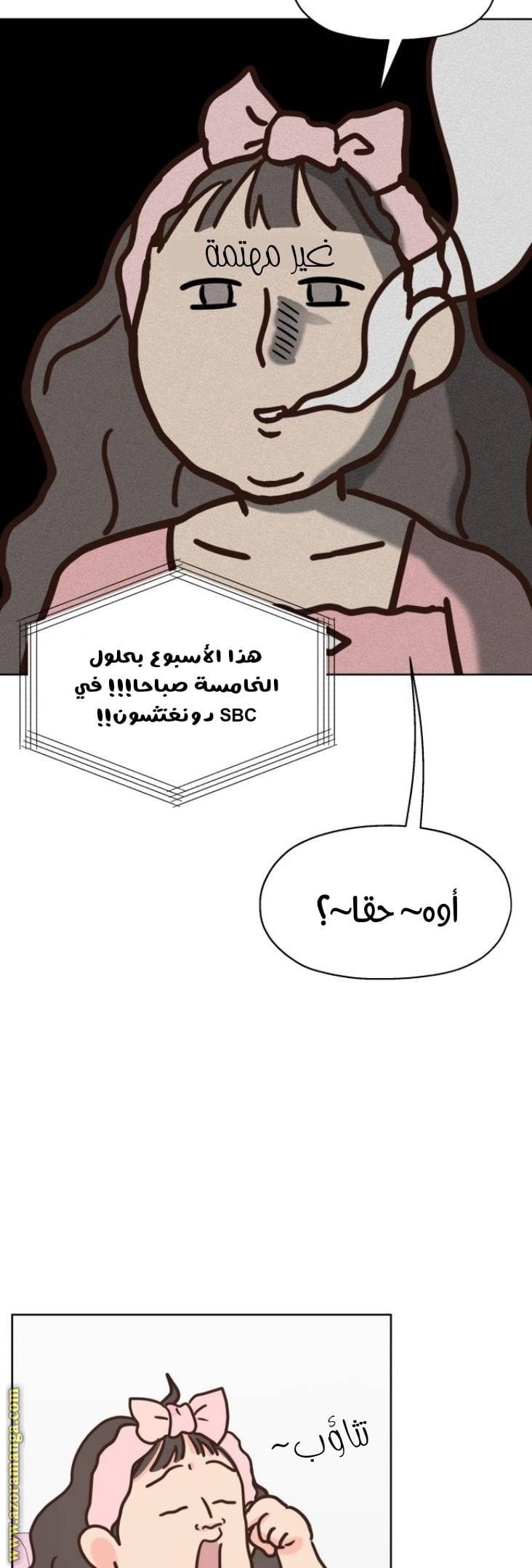 الصفحة 17