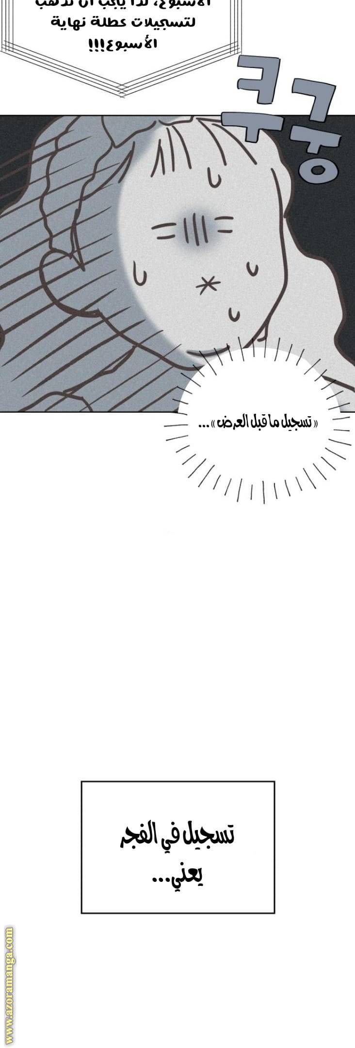 الصفحة 19