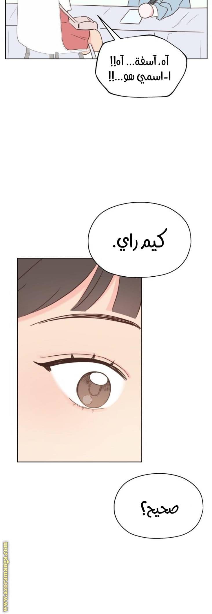 الصفحة 31