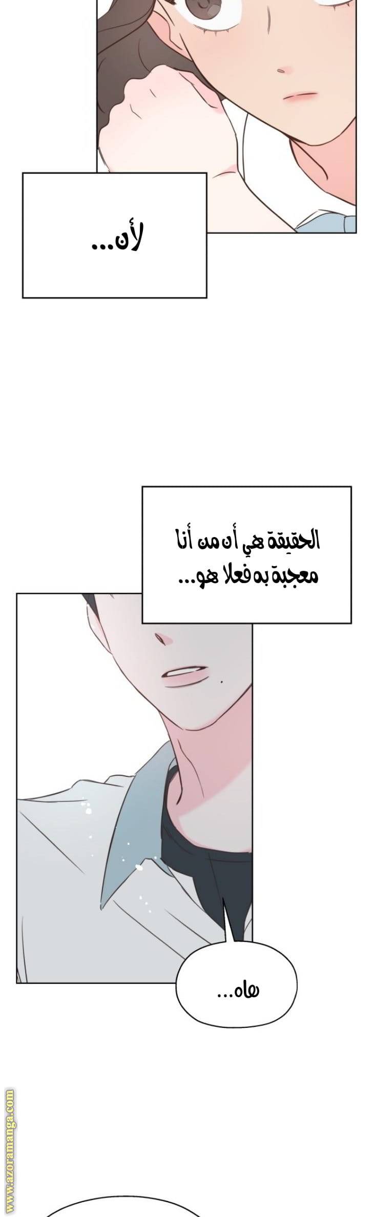 الصفحة 48