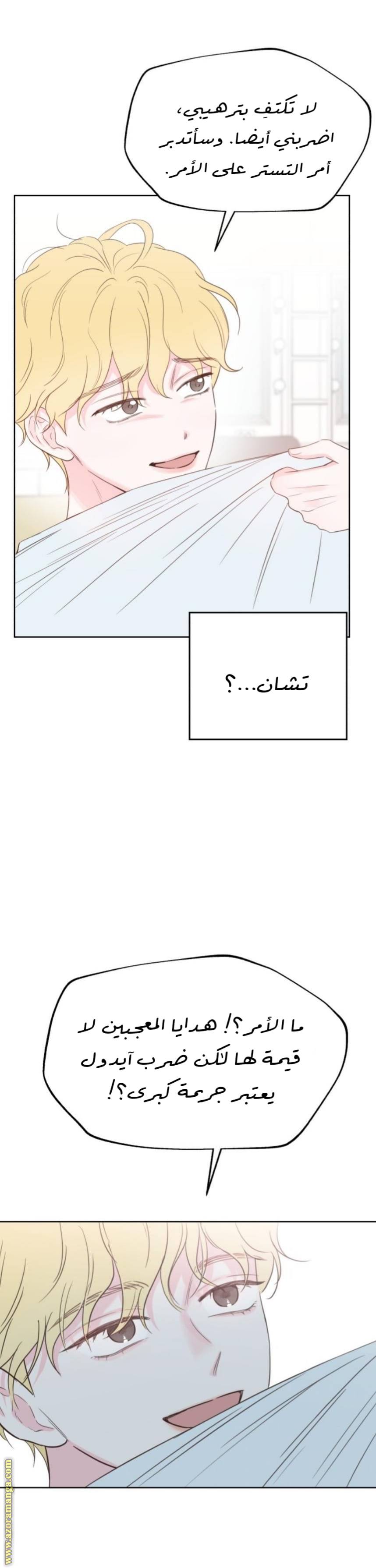 الصفحة 13