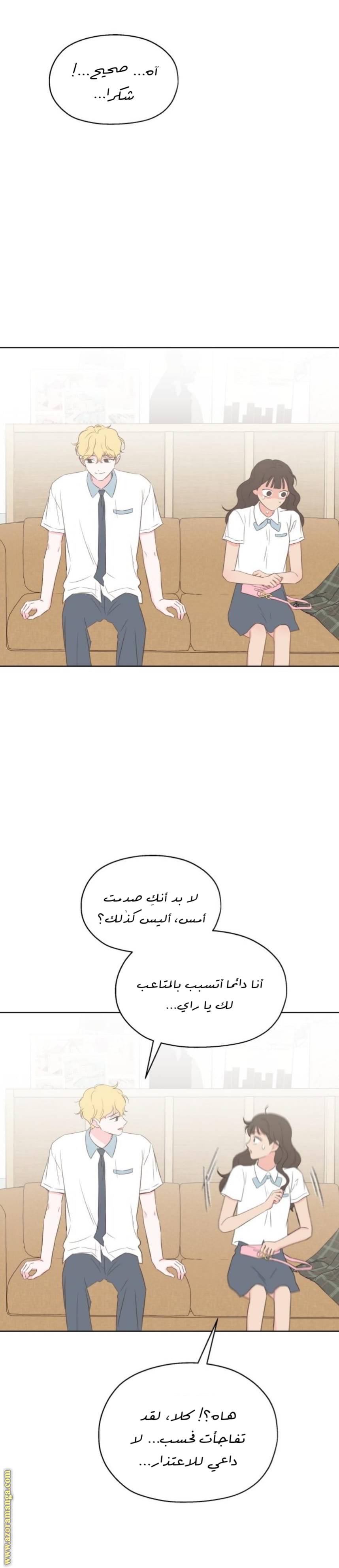 الصفحة 19