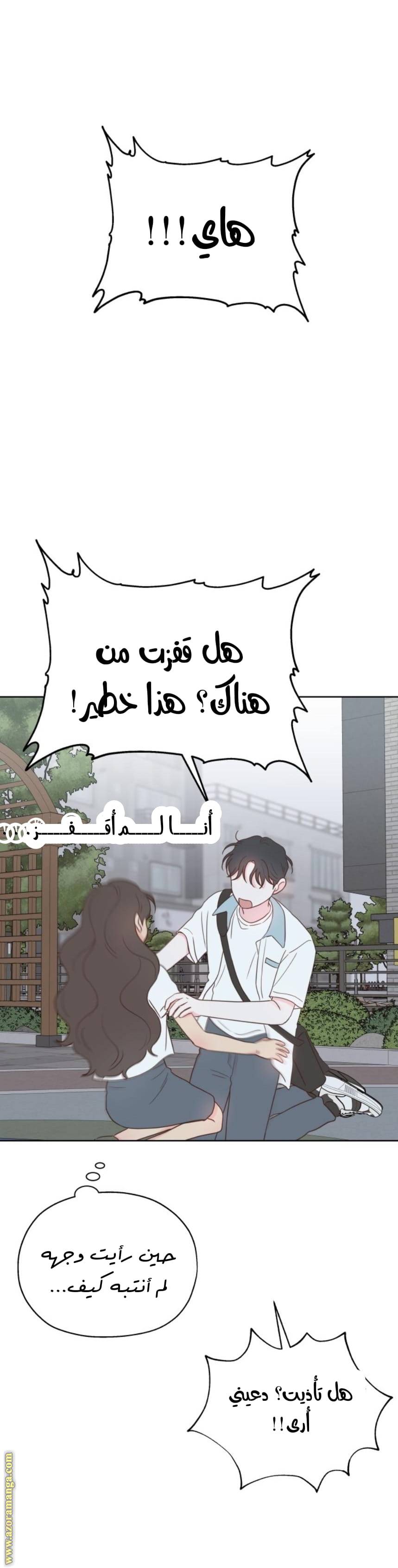 الصفحة 17