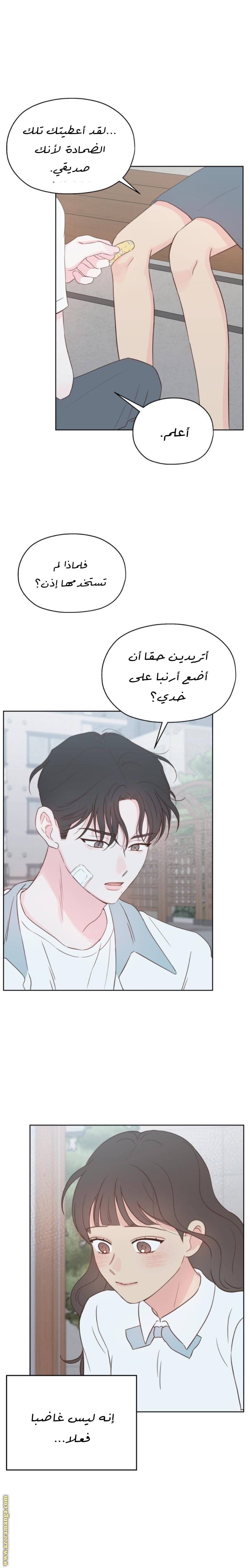 الصفحة 19