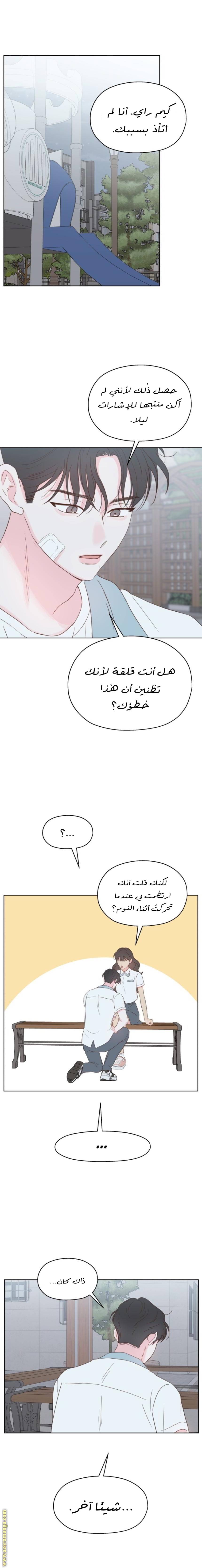 الصفحة 20