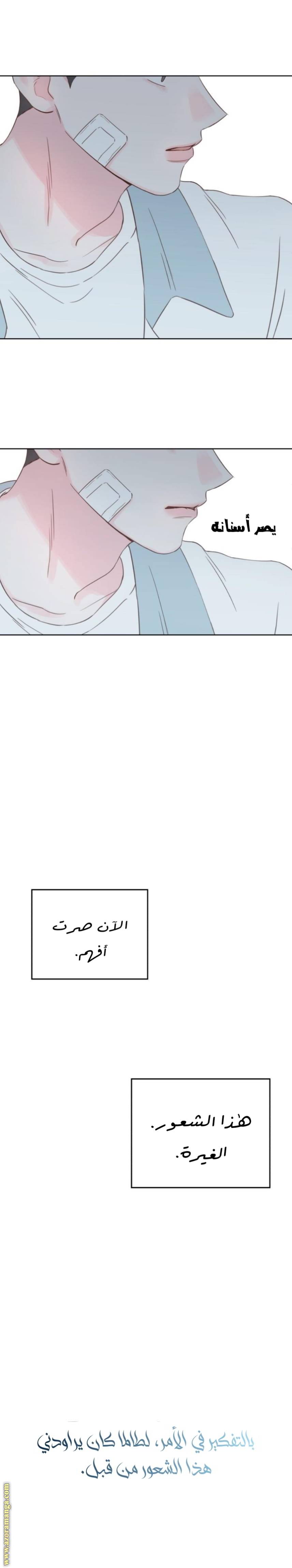 الصفحة 24