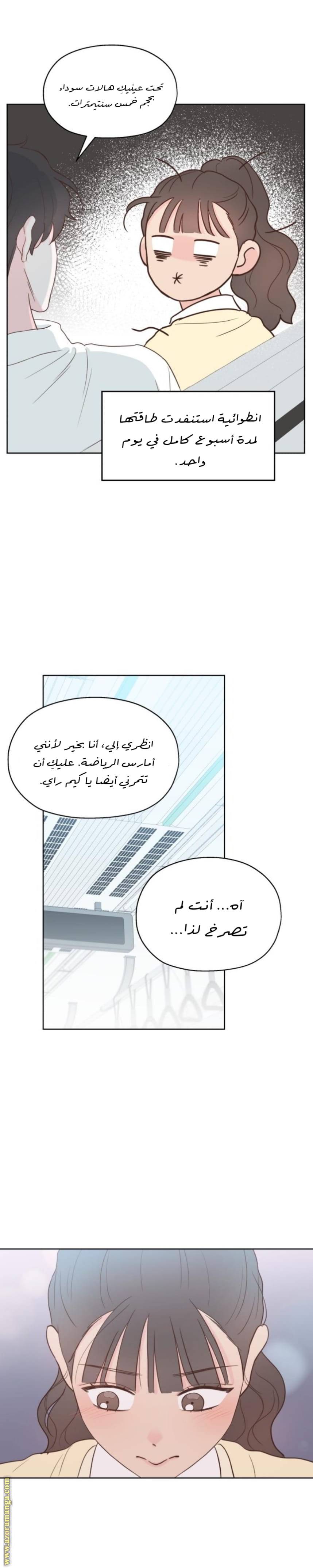 الصفحة 12
