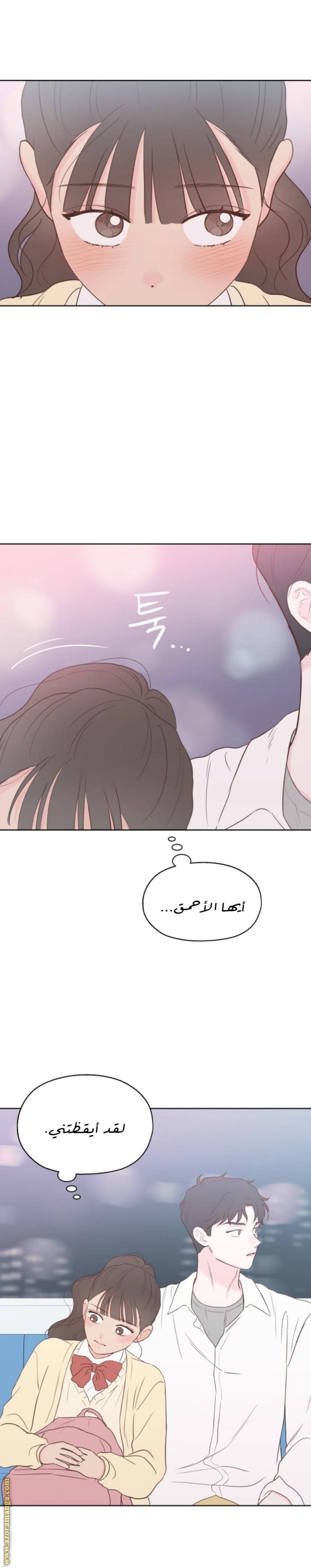 الصفحة 13