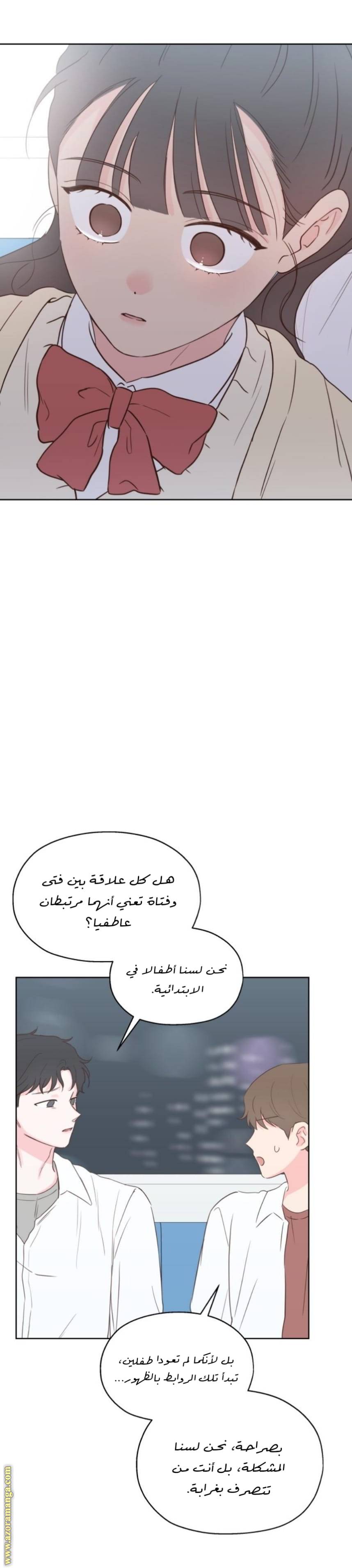 الصفحة 19