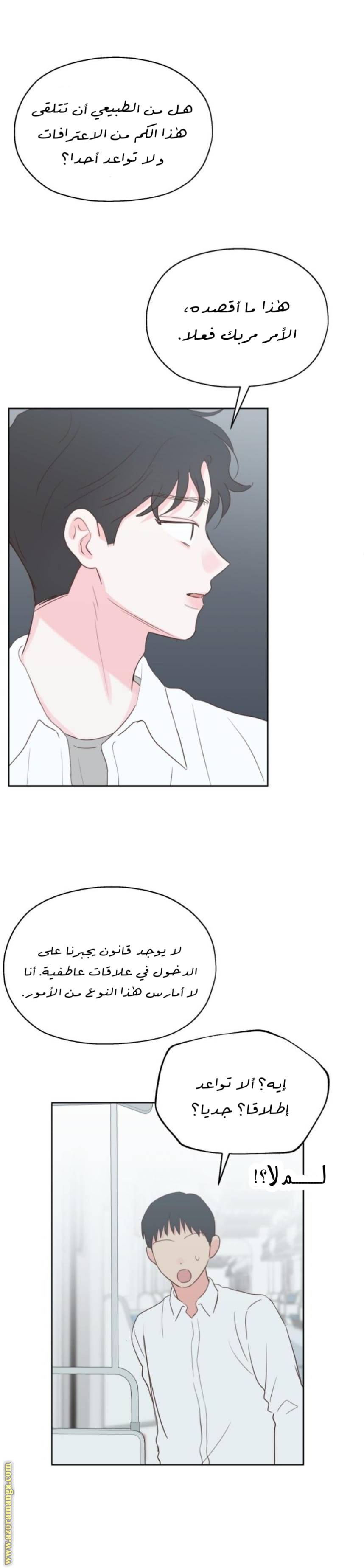 الصفحة 20