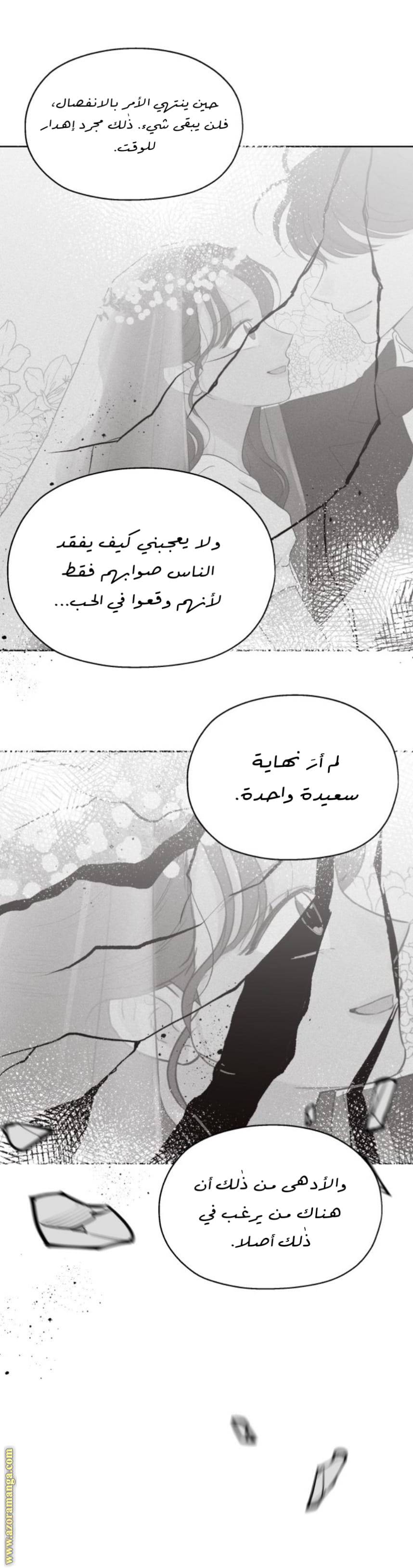 الصفحة 21