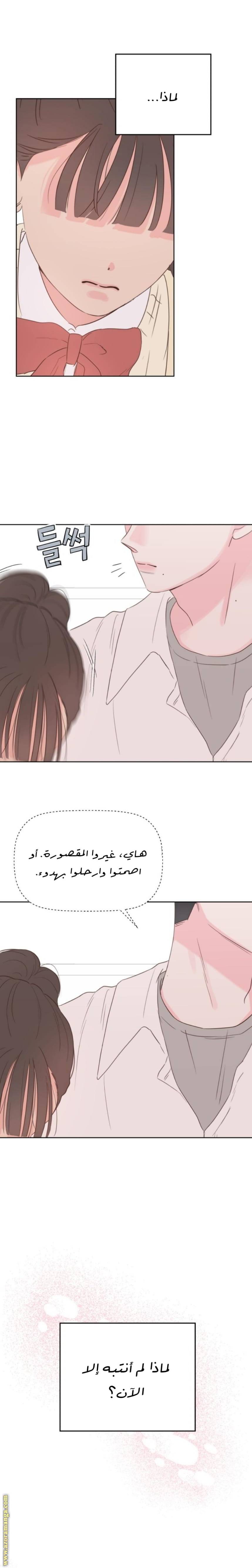 الصفحة 24