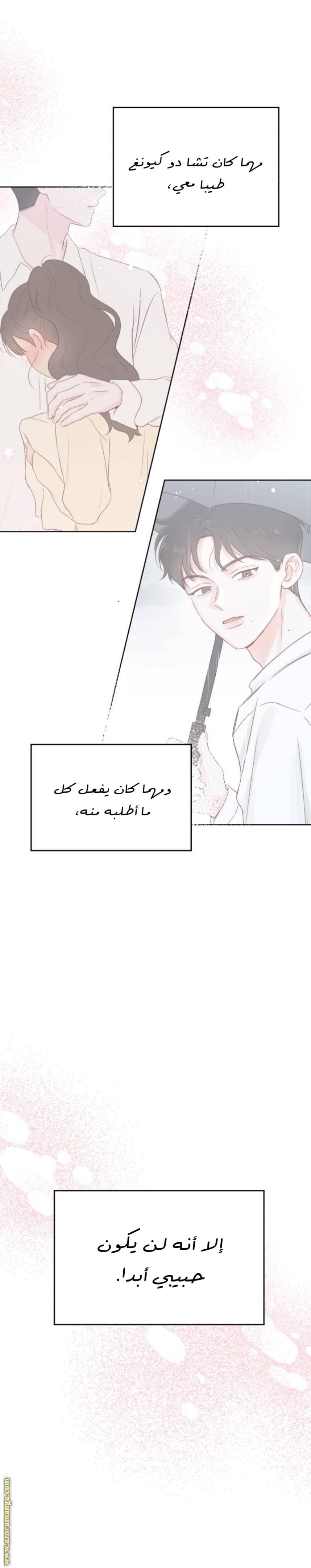 الصفحة 25