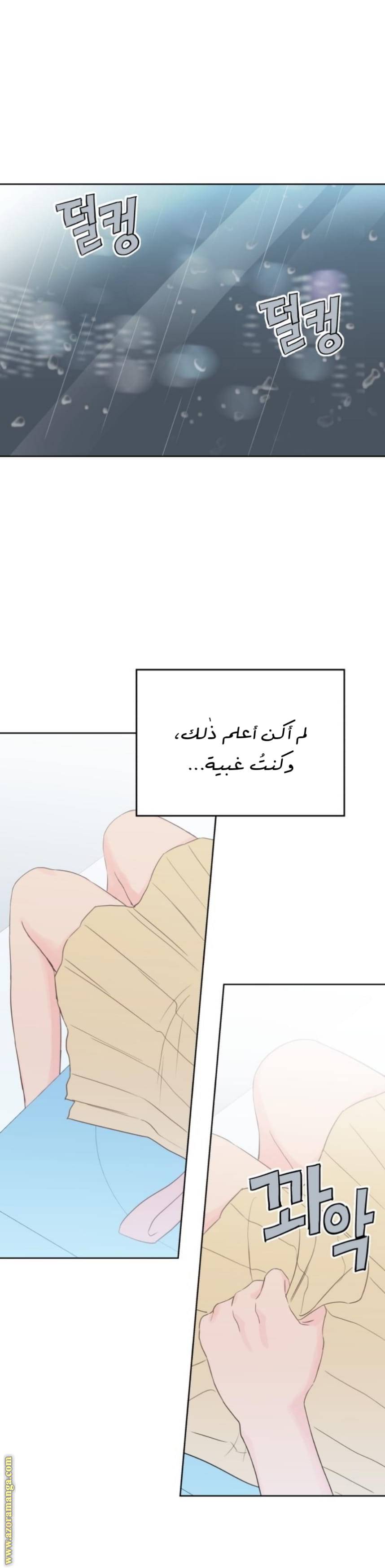 الصفحة 26