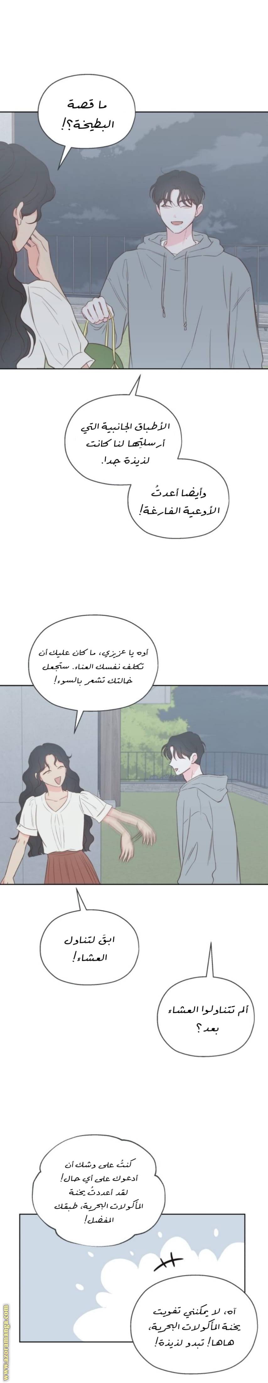الصفحة 13