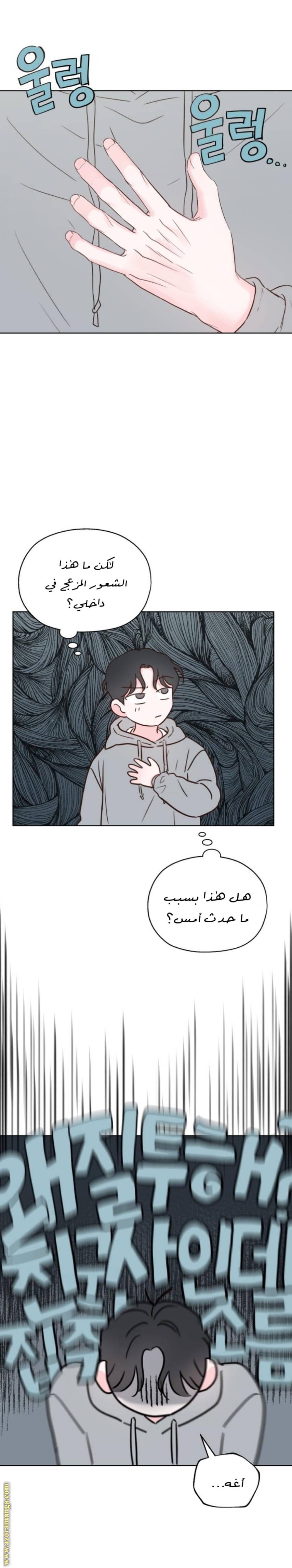 الصفحة 21