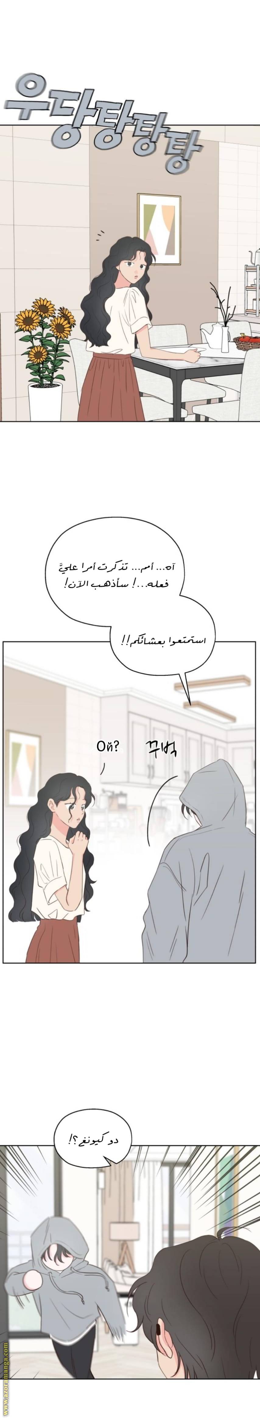 الصفحة 31