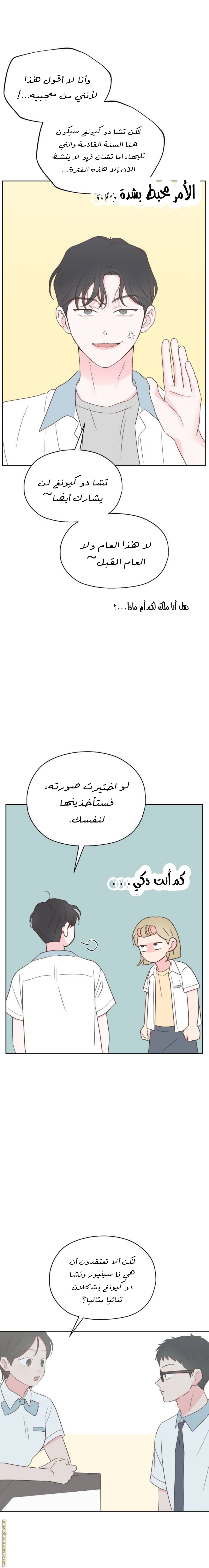 الصفحة 13