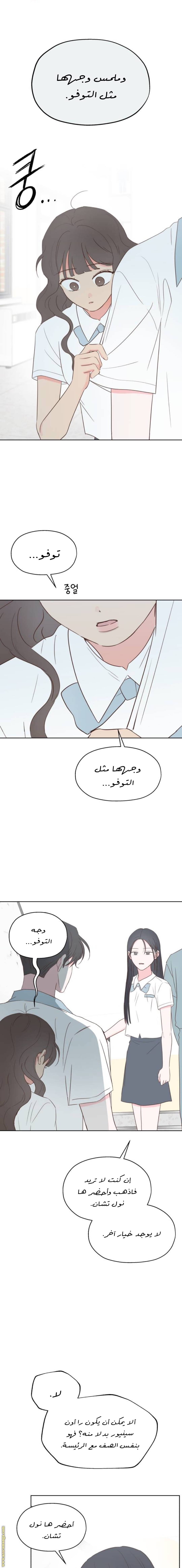 الصفحة 17