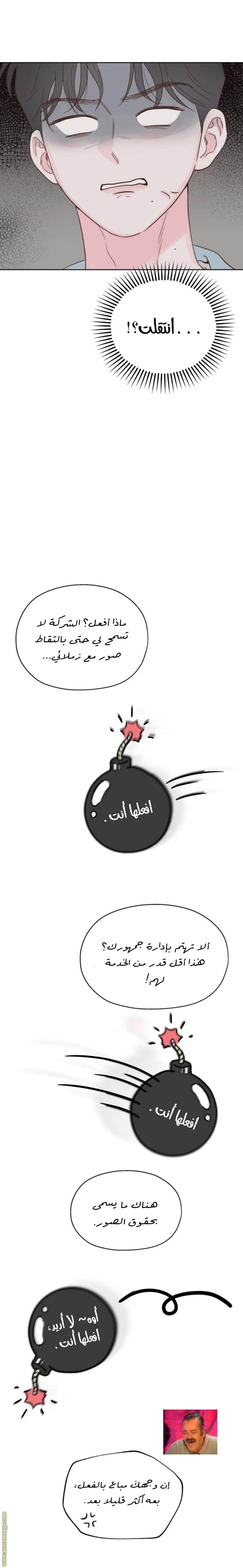 الصفحة 24
