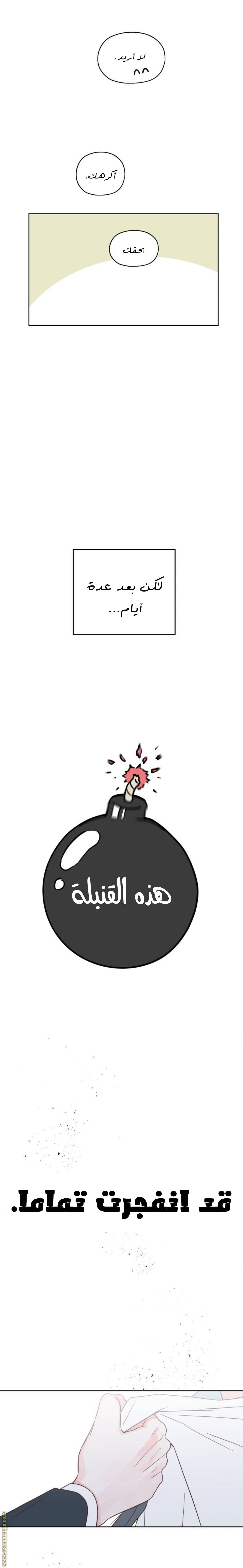 الصفحة 25