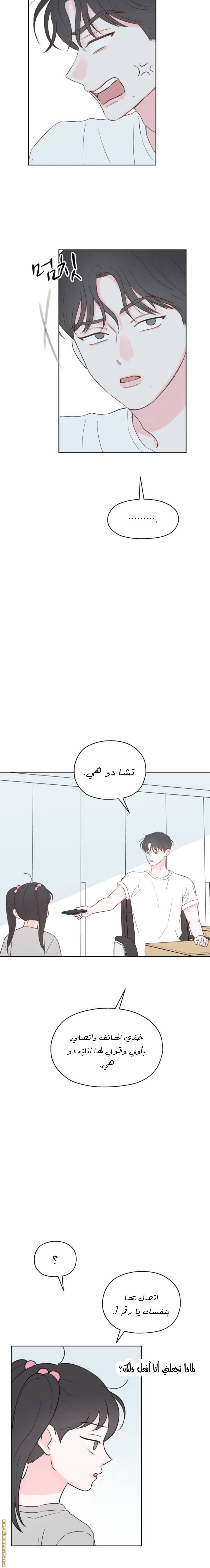 الصفحة 13