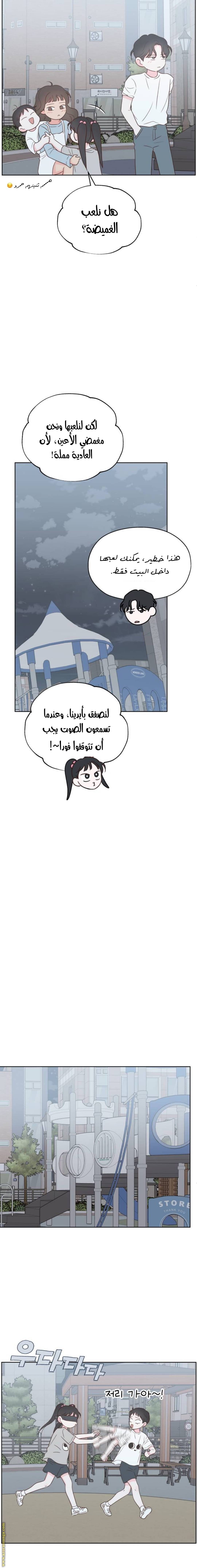 الصفحة 17