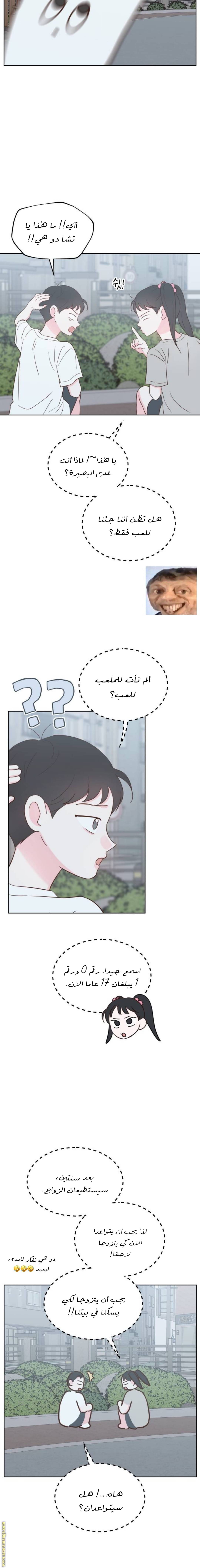 الصفحة 19