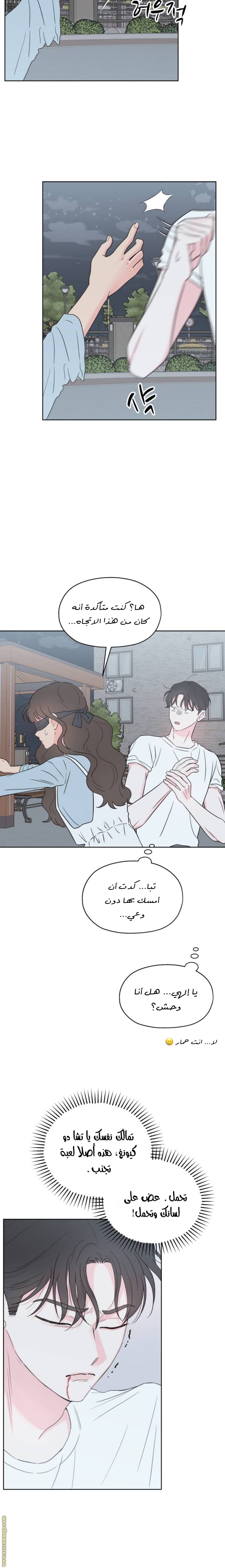 الصفحة 21