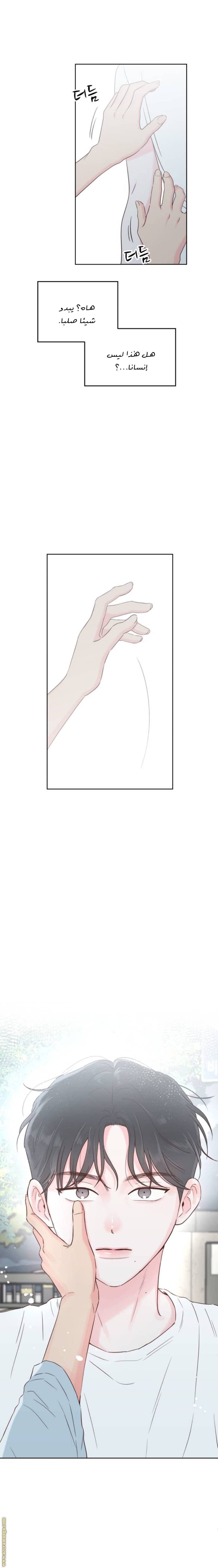 الصفحة 27