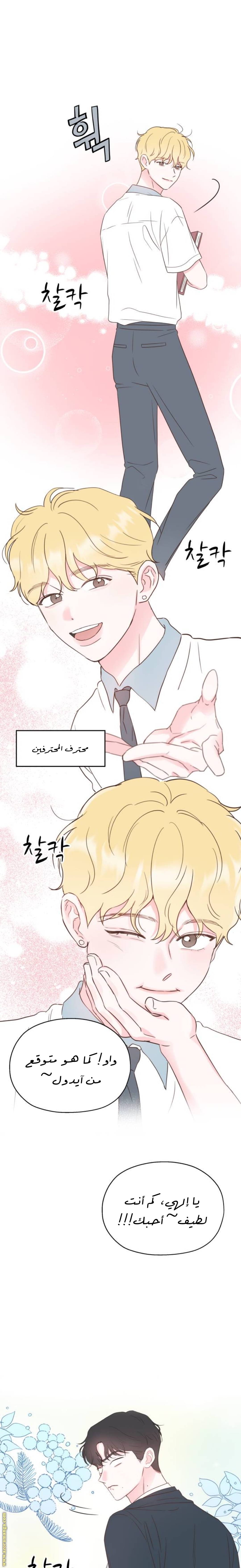 الصفحة 15