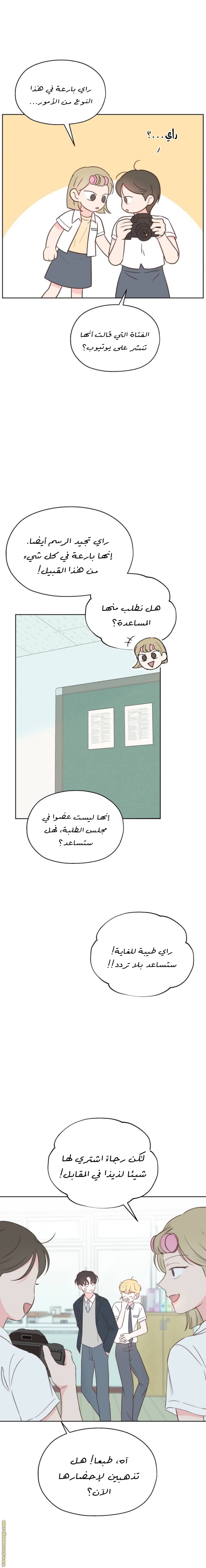الصفحة 17