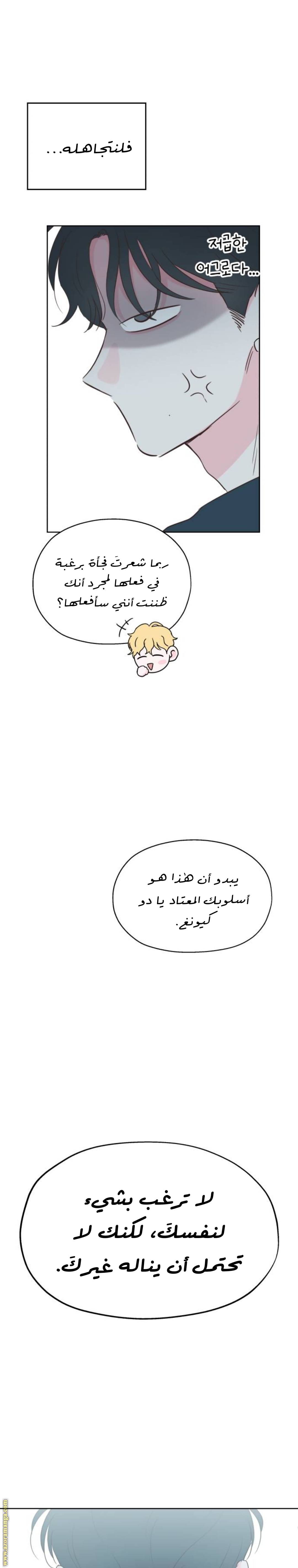 الصفحة 21