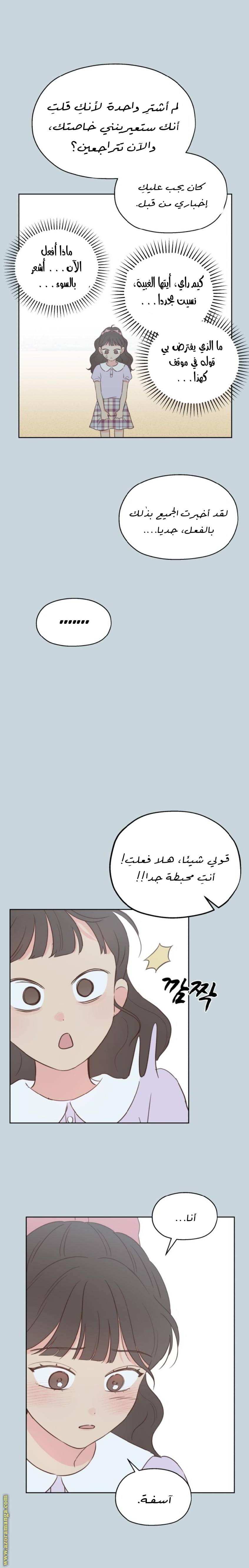 الصفحة 13