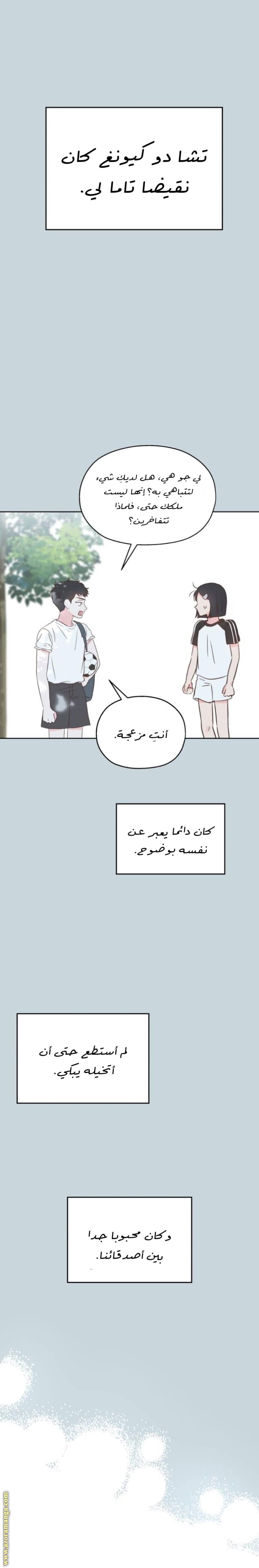 الصفحة 17