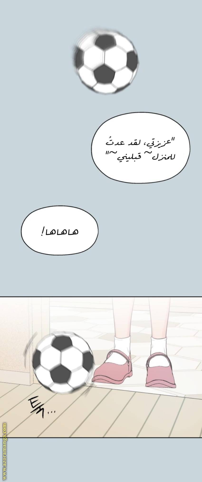 الصفحة 21
