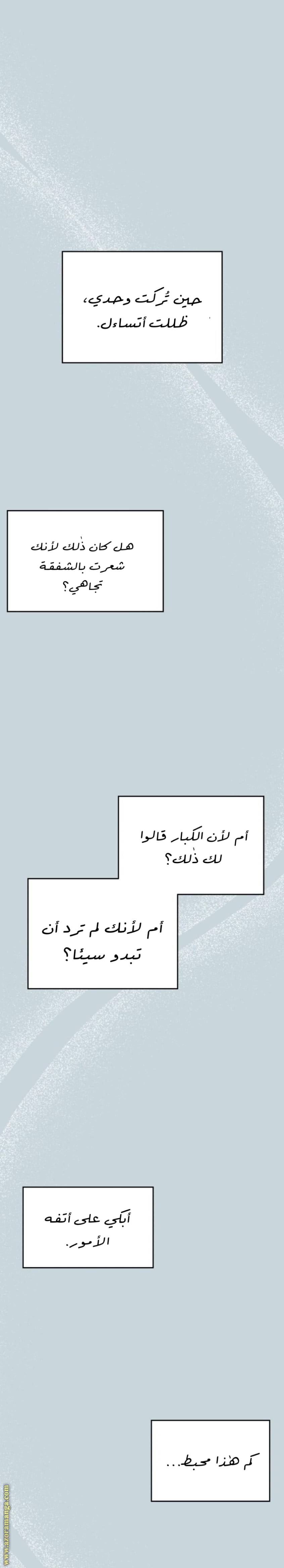 الصفحة 27