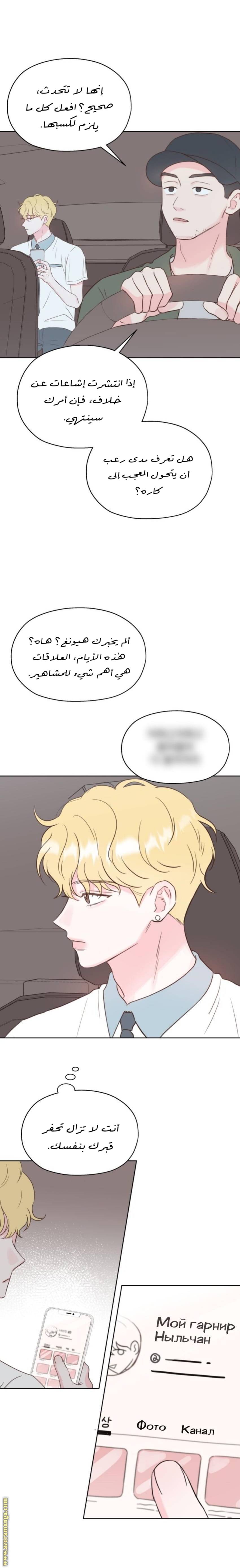 الصفحة 31
