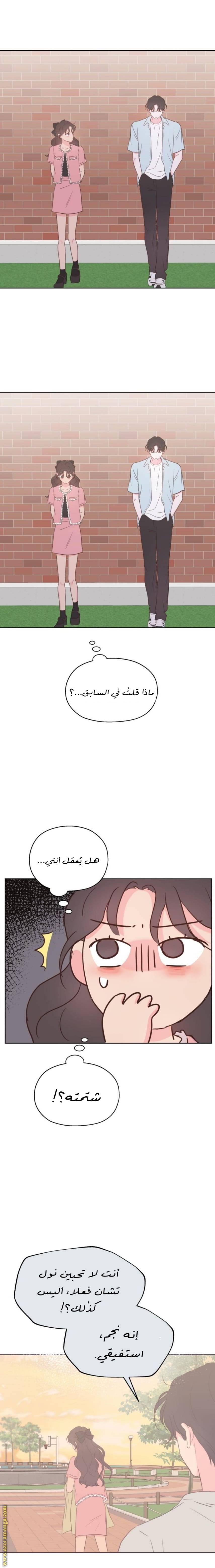 الصفحة 13