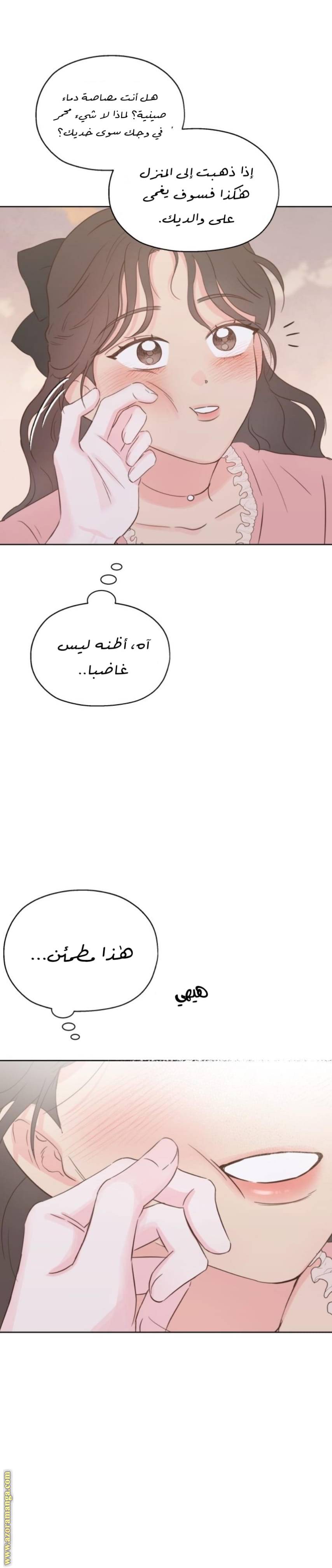 الصفحة 17