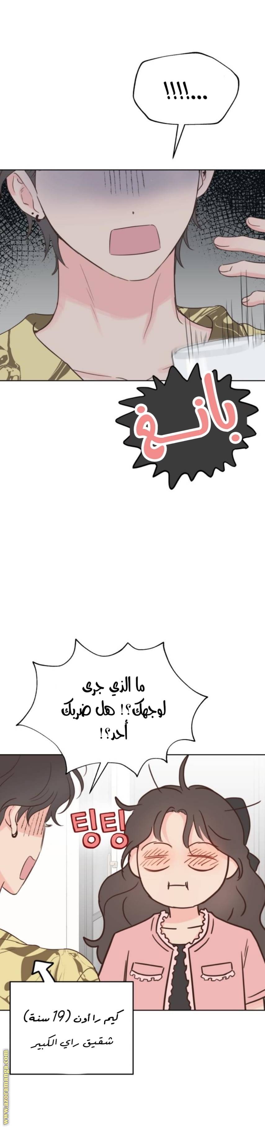 الصفحة 22