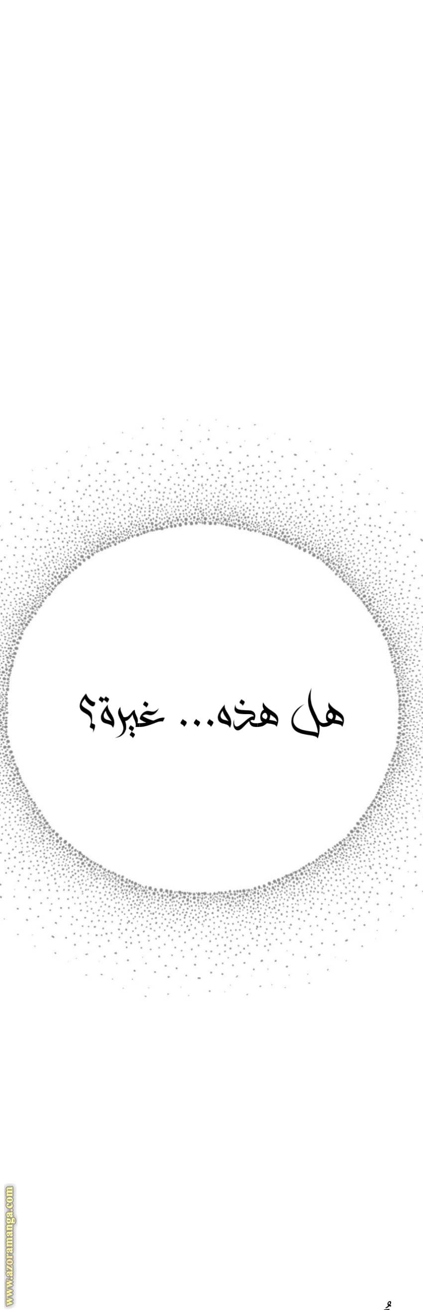 الصفحة 31