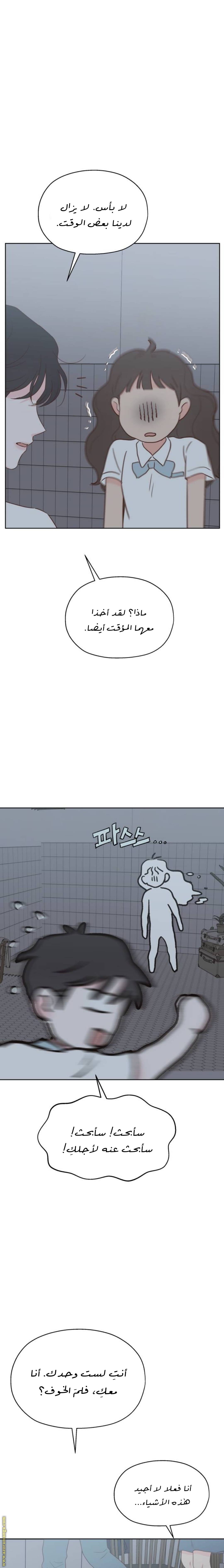 الصفحة 16