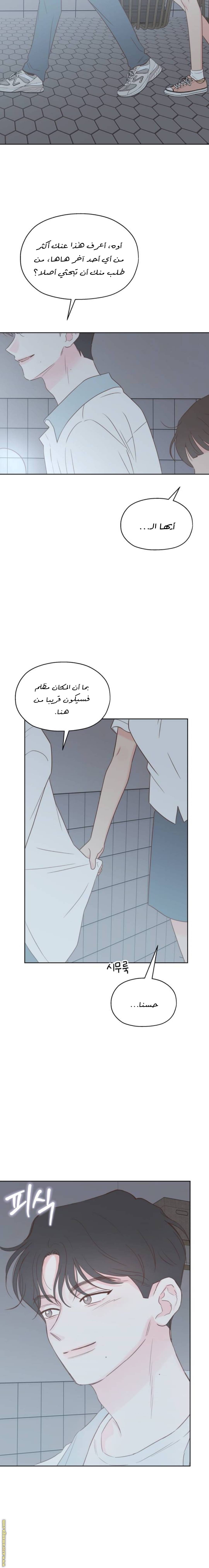 الصفحة 17
