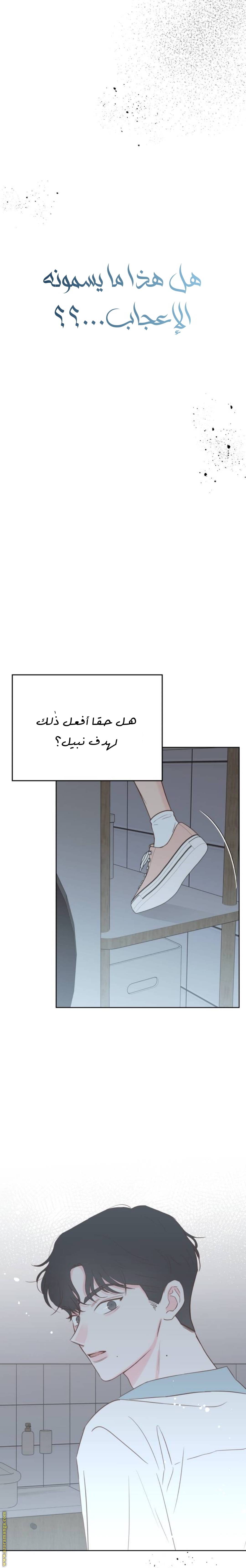الصفحة 21