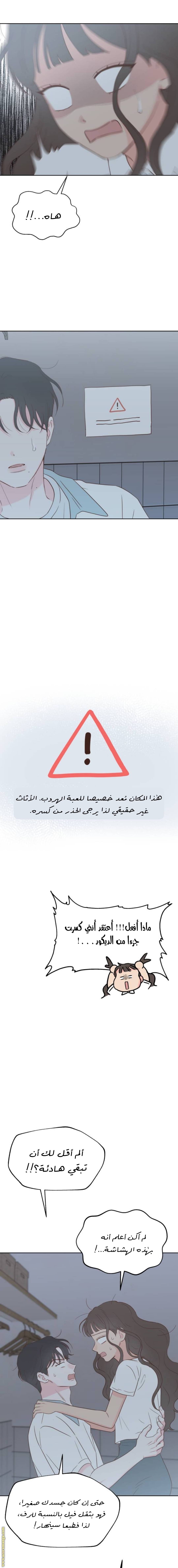 الصفحة 24
