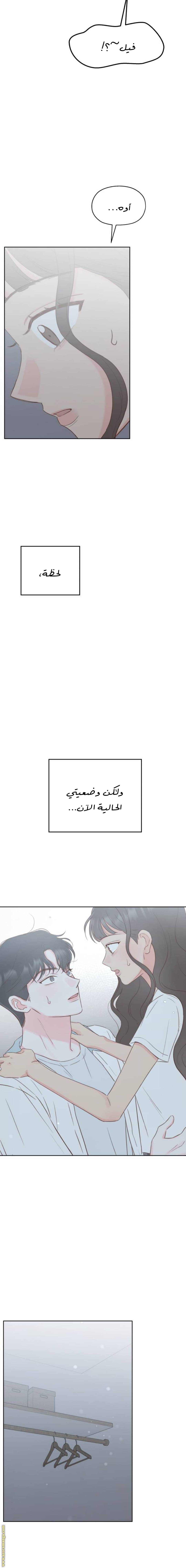 الصفحة 25