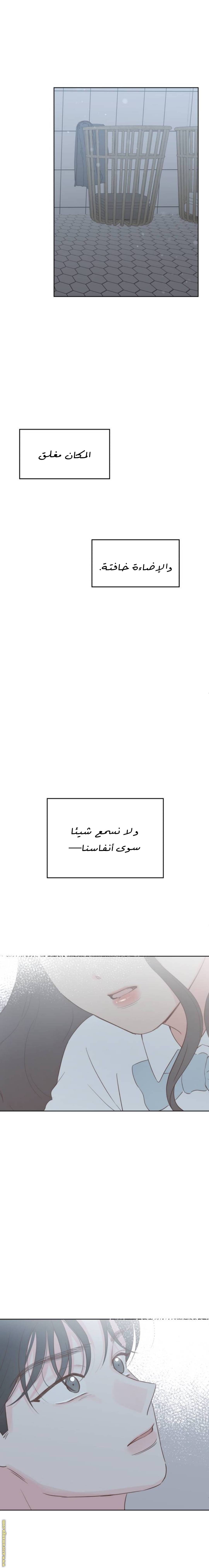 الصفحة 26
